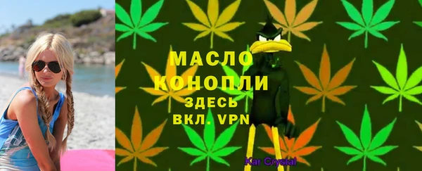 дмт Алексин