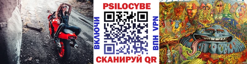 хочу наркоту  Старый Оскол  Галлюциногенные грибы Cubensis 